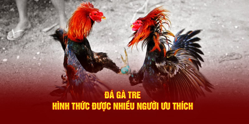 á gà tre - Hình thức được nhiều người ưa thích