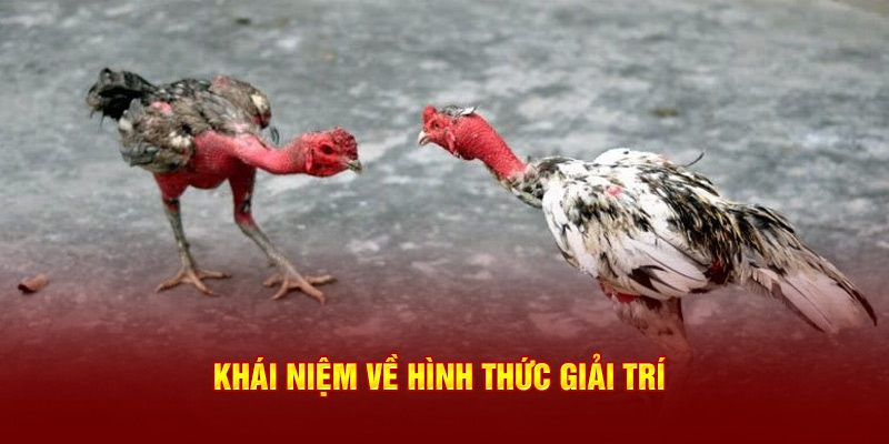 Khái niệm về hình thức giải trí