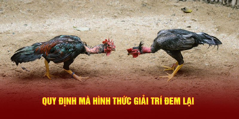 Quy định mà hình thức giải trí đem lại