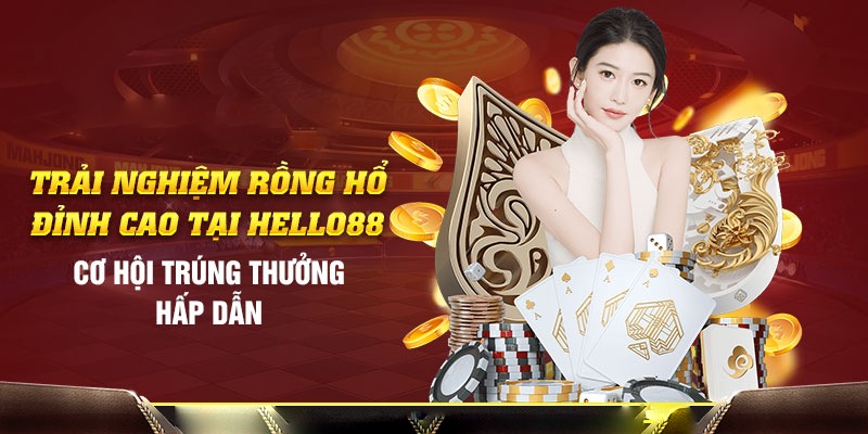 Luật chơi Rồng Hổ tân binh không nên bỏ qua