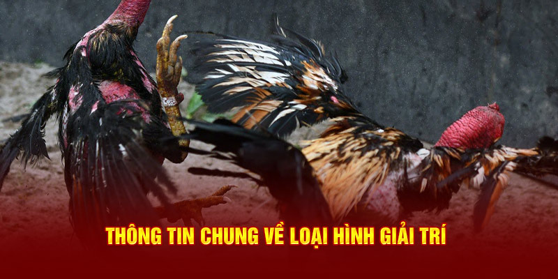 Thông tin chung về loại hình giải trí